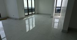 Super Luxury 4 Bedroom Ultra Modern Apartment with Panoramic Skyline